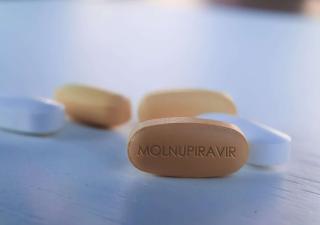 Dirección de Farmacia y Drogas emite el uso de emergencia para el antiviral Molnupiravir contra la COVID-19