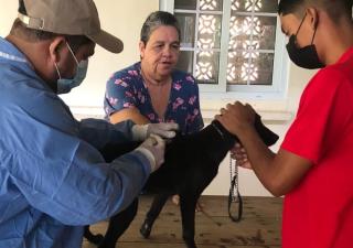 Minsa Coclé participa en Feria de la Rana Dorada