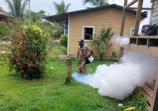 Más de 5 mil  casos por dengue se han registrado a nivel nacional en lo que va del 2023