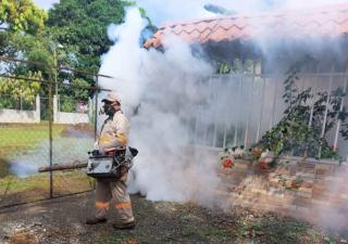 Salud insta a los bocatoreños eliminar criaderos del mosquito transmisor de dengue
