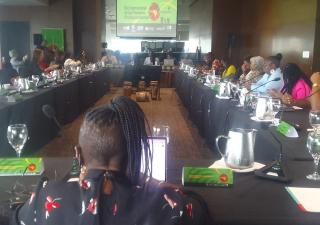 MINSA participa de Día Internacional de las Personas Afrodescendientes