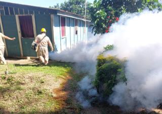Continúa acciones contra  el dengue en Bocas del Toro