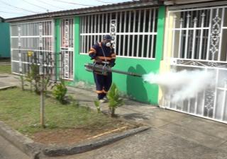 Erradicación del dengue es tarea de todos