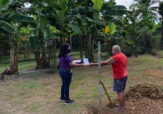 Continúan estrategias para erradicar el dengue en Bocas del Toro