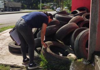 Panamá Oeste realizó operativos para controlar el Aedes Aegyptis