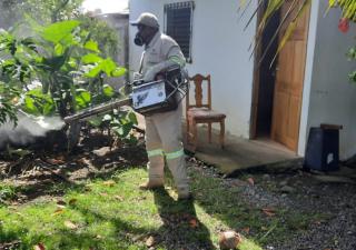 Bocas del Toro continúa acciones para combatir el dengue