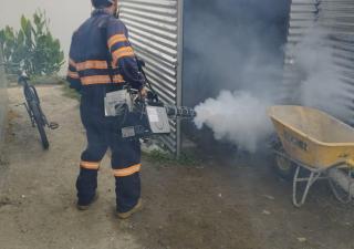 Minsa recomienda no bajar la guardia en la lucha contra el mosquito Aedes aegypty