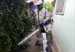 Salud insta a los bocatoreños eliminar los criaderos del Aedes Aegipty
