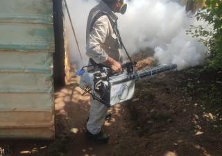 Minsa recomienda a la población no bajar la guardia y evitar los criaderos de mosquitos