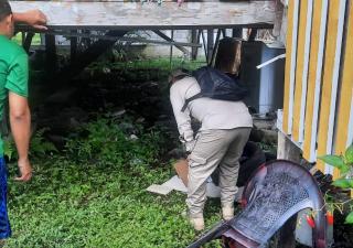 Salud insta a los bocatoreños no bajar la guardia contra el dengue