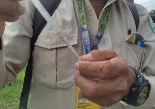 Celebran día D contra el dengue