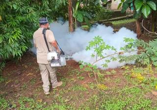 Al eliminar los criaderos de mosquitos evitamos enfermedades como el dengue  