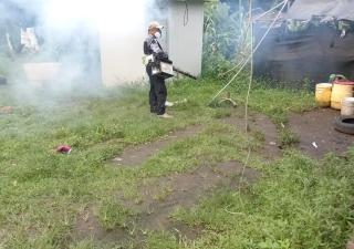 Salud regional refuerza acciones e intervenciones para  evitar aumento de casos por dengue y malaria