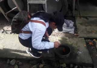 En Las Garzas autoridades de Salud realizan  mega operativo por aumento en casos de dengue