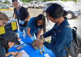  Moradores del corregimiento de Burunga participaron en feria infantil en el Minsa Capsi
