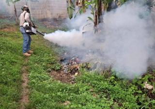 Vectores realizan operativo de fumigación en Villa Suira