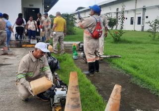  Realizan operativo de fumigación en isla Colón