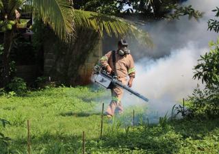 Constantes operativos contra el Dengue se realizan en Panamá Norte