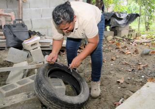  Región Metropolitana de Salud pide a la población eliminar los criaderos de Aedes aegypti