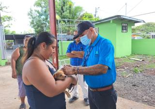 Realizan jornada gratuita de vacunación para perros y gatos en Garnaderita de Atalaya 