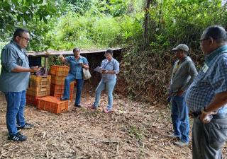 Minsa y la alcaldía realizan inspección a terrenos para el nuevo vertedero municipal en Changuinola