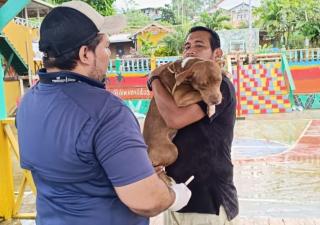  Campaña de vacunación para mascotas en Bastimentos, Bocas del Toro