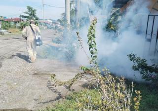 Intensifican fumigación contra los mosquitos en Colón