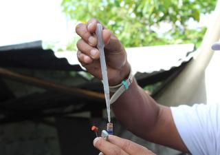 Minsa insta a reforzar medidas contra el dengue tras último informe epidemiológico