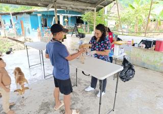 Jornada de vacunación a mascotas en el área fronteriza de Bocas del Toro 