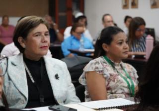 Autoridades de la Región Metropolitana  coordinan estrategias contra el dengue 