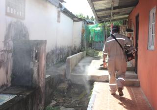 La prevención es la clave para detener el aumento de casos de dengue 