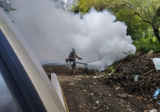 Reiteran la eliminación de criaderos tras incremento de casos en Chiriquí