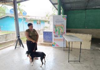 Vigilancia veterinaria continuó la jornada de vacunación a mascotas en Bocas del Toro