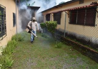 Minsa recomienda no automedicarse ante síntomas de Dengue