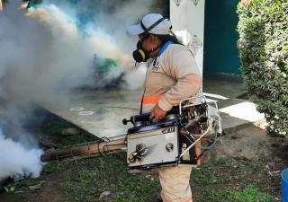 Control de vectores continuó trabajos de nebulización en isla Colón
