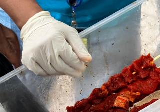 Operativo de cumplimiento de normas sanitarias a puestos en Amador