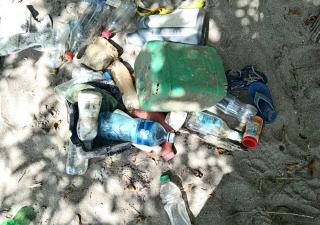  Minsa realiza limpieza de playas en Pedasí