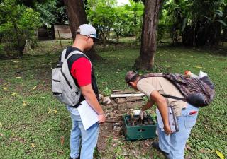 Refuerzan acciones de prevención del dengue en Tonosí 