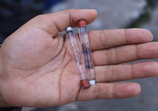 Veraguas reporta 404 casos de dengue durante este año 