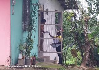 Minsa continúa las acciones contra el dengue en Colón 