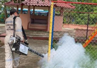 Realizan acciones para eliminar criaderos de mosquito en Coclé