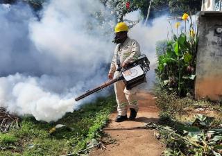 Minsa presenta informe actualizado de dengue a nivel nacional