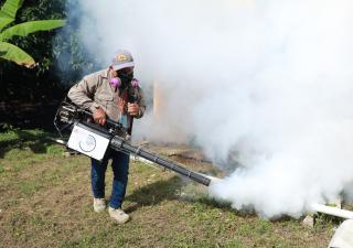 Minsa presenta informe actualizado de dengue a nivel nacional