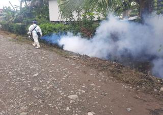 Minsa refuerza acciones contra el dengue en el distrito de Changuinola