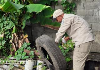 Regiones de Salud presentan disminución por dengue en las últimas semanas