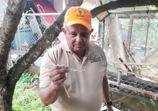 MINSA realiza operativo de prevención del dengue en Nuevo México de Las Tablas 