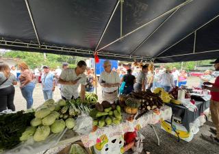 La importancia de la manipulación segura de alimentos durante las fiestas de fin de año