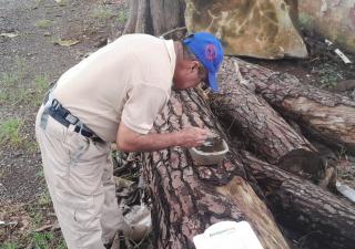 Continúan las acciones de control de vectores en la Región Panamá Oeste para disminuir el dengue