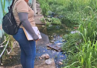 Refuerzan estrategias para disminuir casos de dengue en Colón