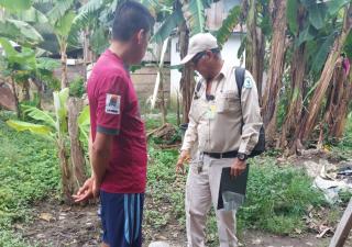 Reforzarán acciones contra el dengue en Bocas del Toro 